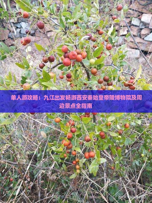 单人游攻略：九江出发畅游西安秦始皇帝陵博物院及周边景点全指南