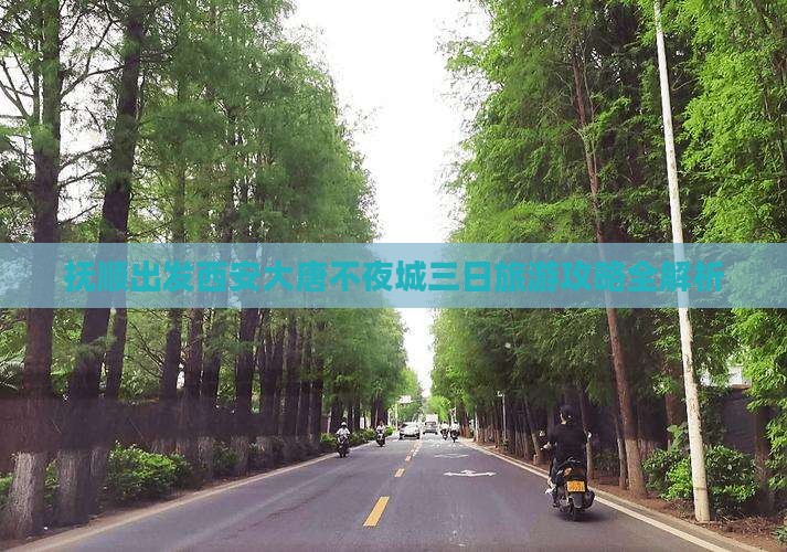 抚顺出发西安大唐不夜城三日旅游攻略全解析