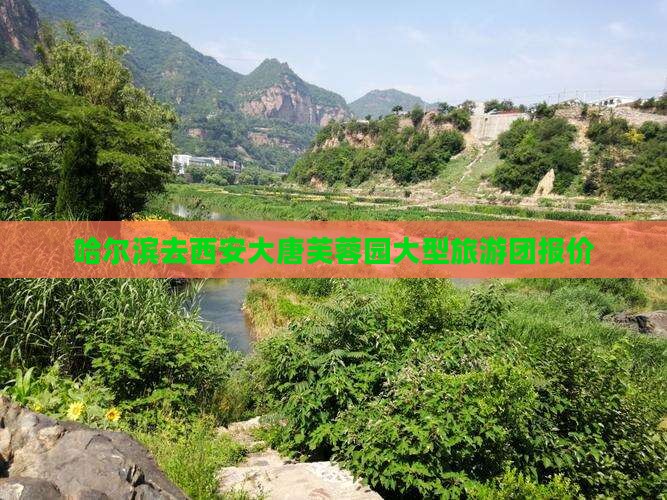 哈尔滨去西安大唐芙蓉园大型旅游团报价