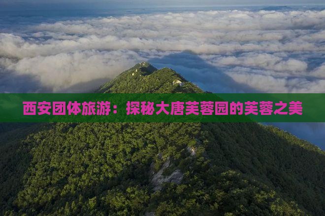 西安团体旅游：探秘大唐芙蓉园的芙蓉之美
