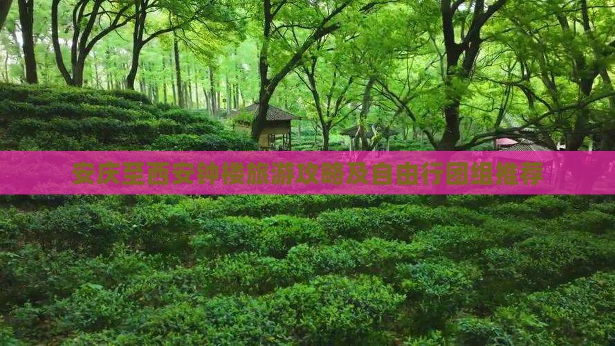 安庆至西安钟楼旅游攻略及自由行团组推荐