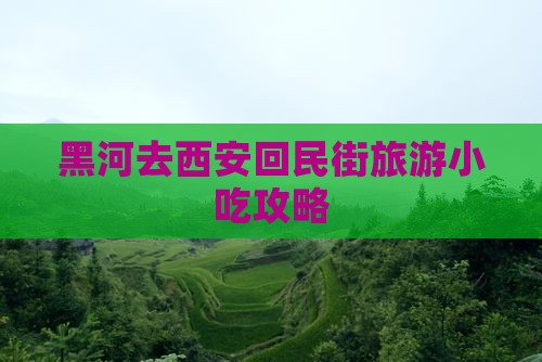 黑河去西安回民街旅游小吃攻略