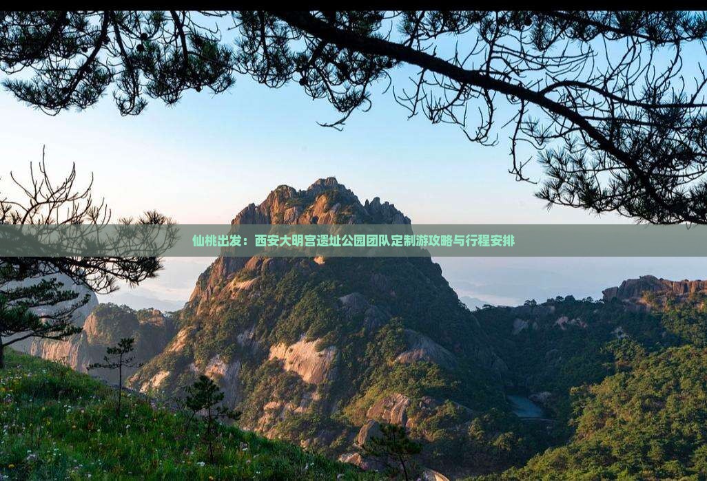 仙桃出发：西安大明宫遗址公园团队定制游攻略与行程安排