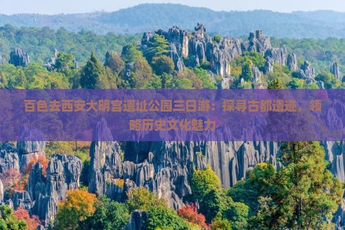 百色去西安大明宫遗址公园三日游：探寻古都遗迹，领略历史文化魅力
