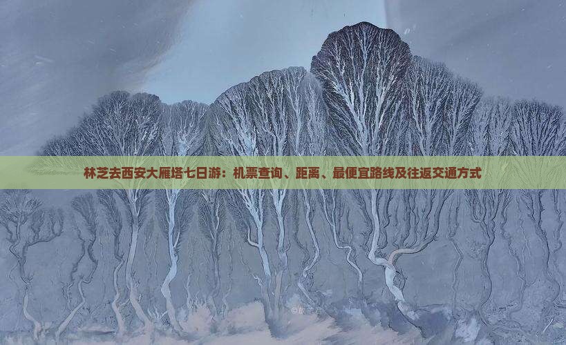 林芝去西安大雁塔七日游：机票查询、距离、最便宜路线及往返交通方式