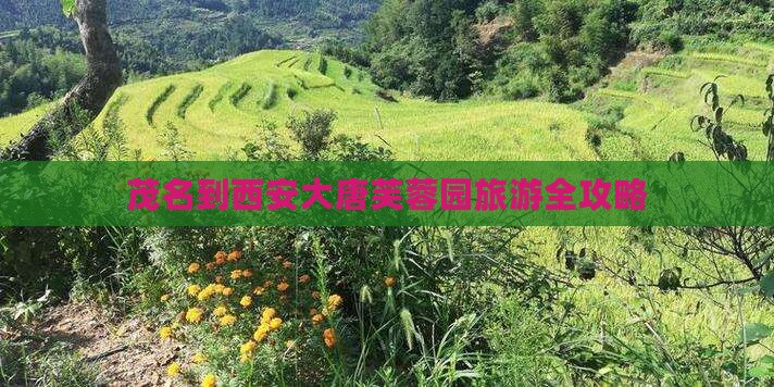 茂名到西安大唐芙蓉园旅游全攻略