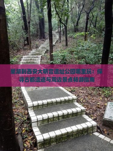 巢湖到西安大明宫遗址公园哪里玩：探寻古都遗迹与周边景点畅游指南