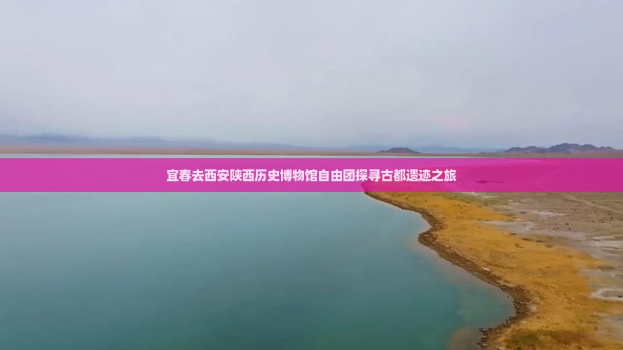 宜春去西安陕西历史博物馆自由团探寻古都遗迹之旅