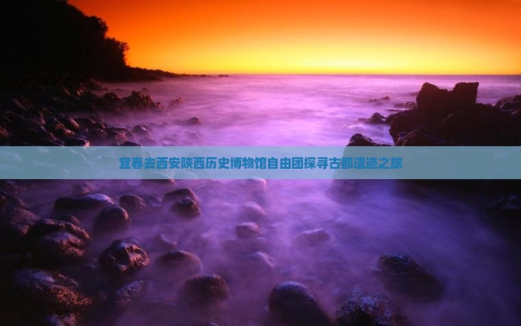 宜春去西安陕西历史博物馆自由团探寻古都遗迹之旅
