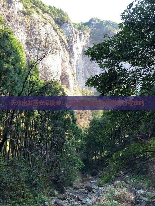 天水出发西安深度游：探秘回民街及古城四日行程攻略