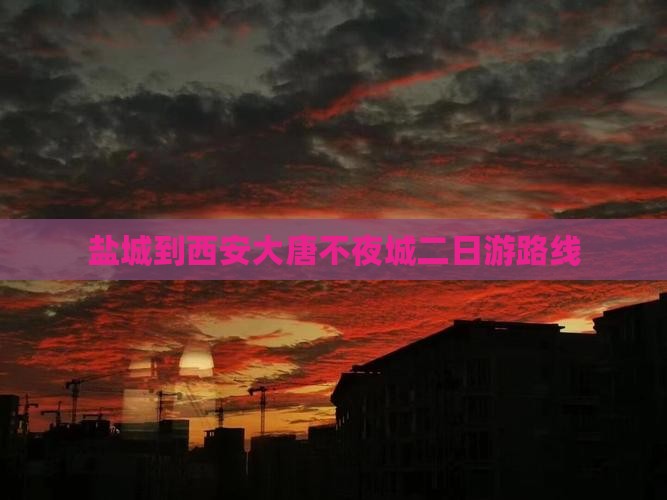 盐城到西安大唐不夜城二日游路线