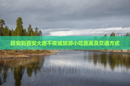 延安到西安大唐不夜城旅游小吃距离及交通方式