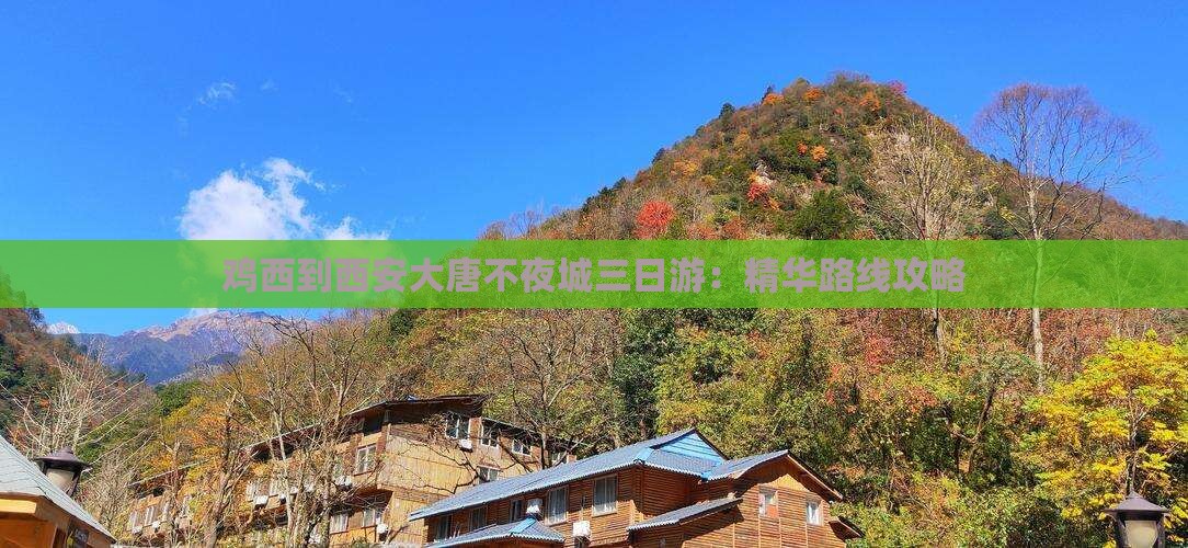 鸡西到西安大唐不夜城三日游：精华路线攻略