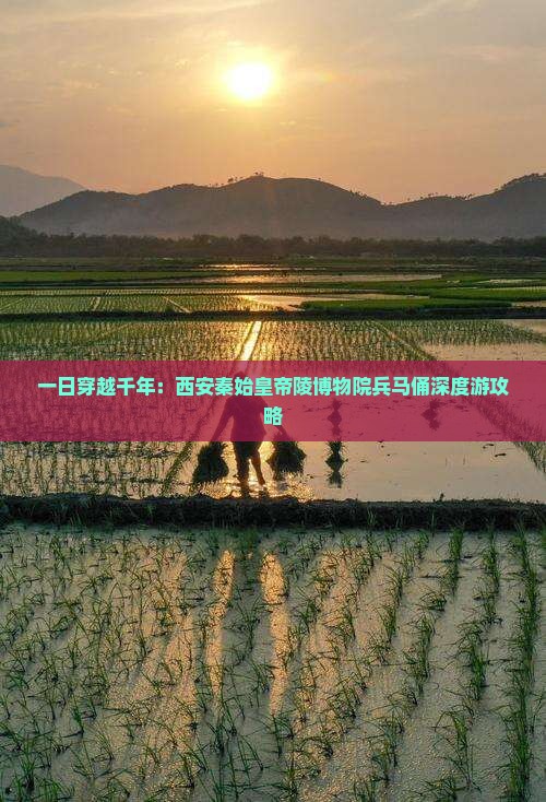 一日穿越千年：西安秦始皇帝陵博物院兵马俑深度游攻略