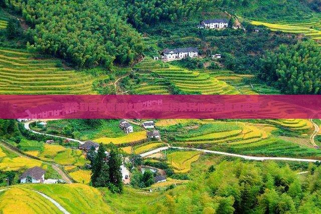 清徐到西安旅游攻略：大雁塔及其他必去景点推荐