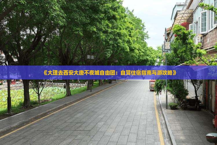 《大理去西安大唐不夜城自由团：自驾住宿指南与游攻略》