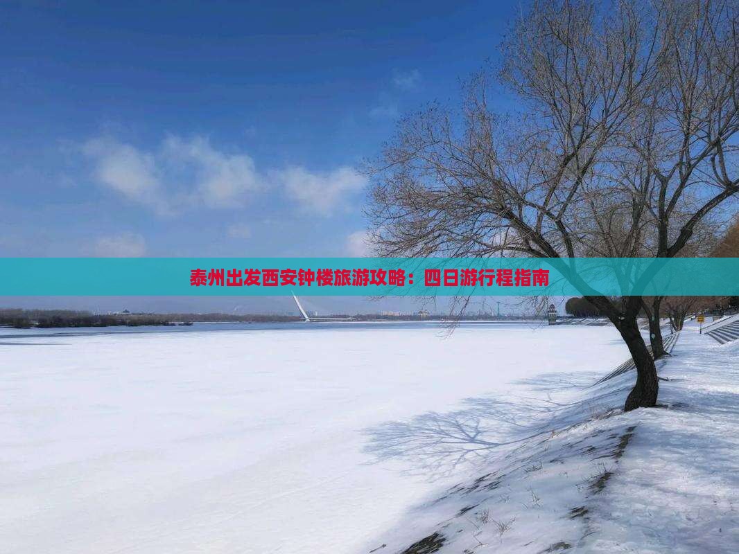 泰州出发西安钟楼旅游攻略：四日游行程指南