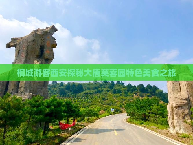 桐城游客西安探秘大唐芙蓉园特色美食之旅