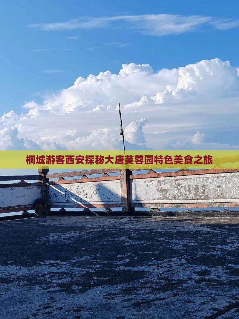 桐城游客西安探秘大唐芙蓉园特色美食之旅