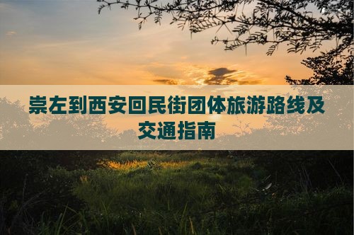 崇左到西安回民街团体旅游路线及交通指南