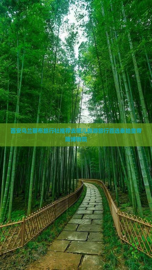西安乌兰察布旅行社推荐去哪儿旅游旅行首选秦始皇帝陵博物院