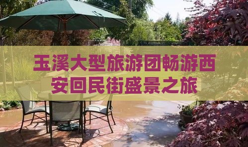 玉溪大型旅游团畅游西安回民街盛景之旅