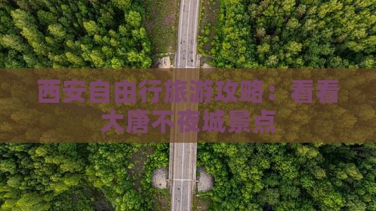 西安自由行旅游攻略：看看大唐不夜城景点