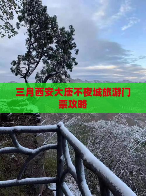 三月西安大唐不夜城旅游门票攻略