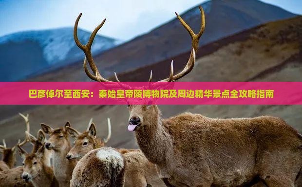 巴彦倬尔至西安：秦始皇帝陵博物院及周边精华景点全攻略指南
