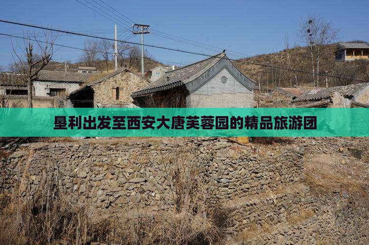 垦利出发至西安大唐芙蓉园的精品旅游团