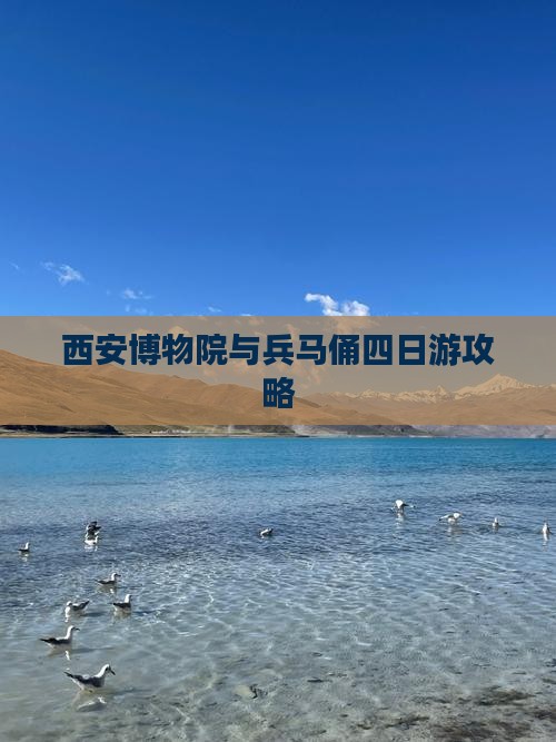 西安博物院与兵马俑四日游攻略