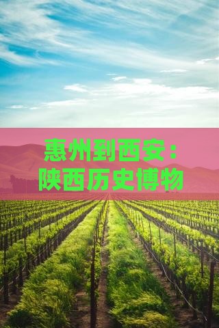 惠州到西安：陕西历史博物馆非去不可的地