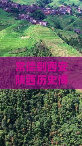 常德到西安陕西历史博物馆七日深度游