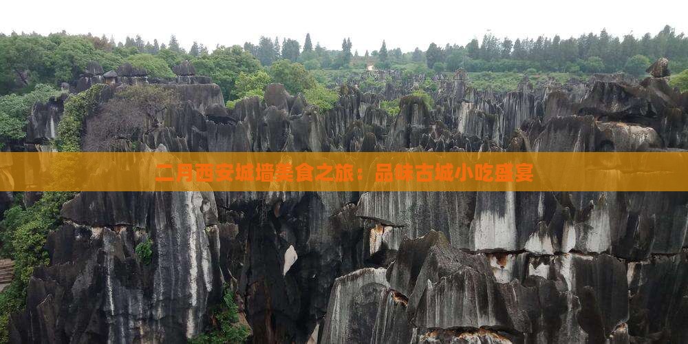 二月西安城墙美食之旅：品味古城小吃盛宴