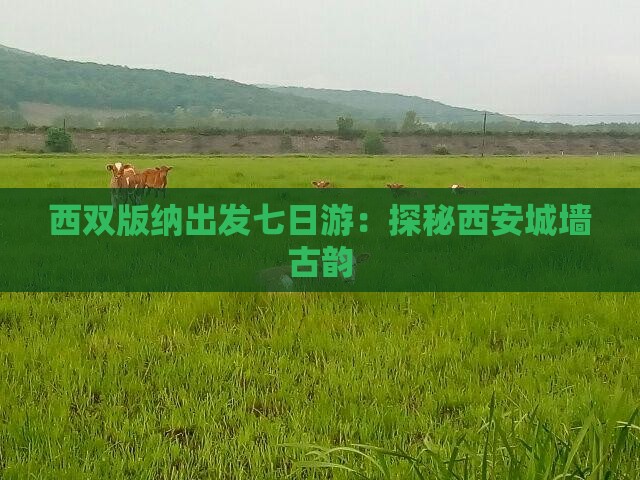 西双版纳出发七日游：探秘西安城墙古韵
