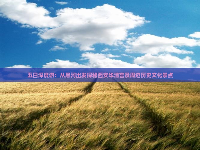 五日深度游：从黑河出发探秘西安华清宫及周边历史文化景点