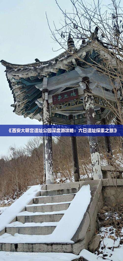 《西安大明宫遗址公园深度游攻略：六日遗址探索之旅》