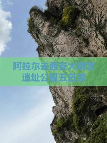 阿拉尔去西安大明宫遗址公园五日游