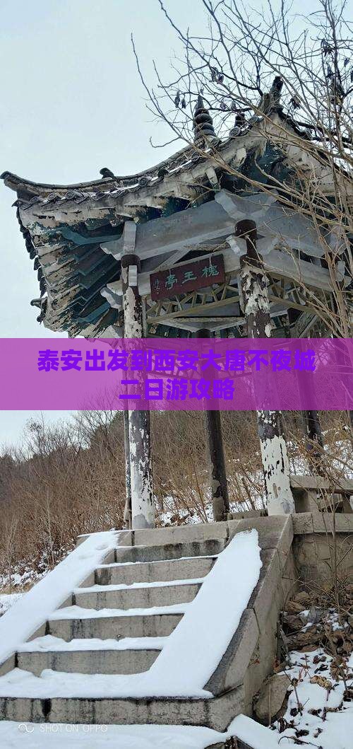 泰安出发到西安大唐不夜城二日游攻略