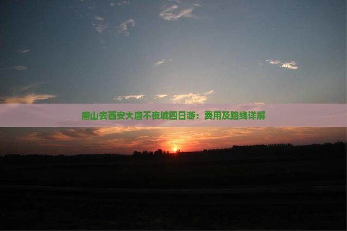 唐山去西安大唐不夜城四日游：费用及路线详解