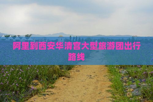 阿里到西安华清宫大型旅游团出行路线