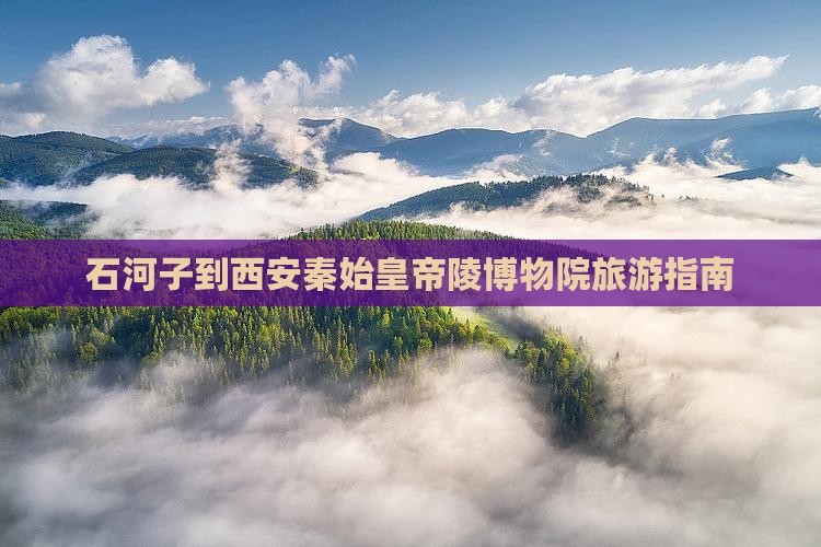 石河子到西安秦始皇帝陵博物院旅游指南