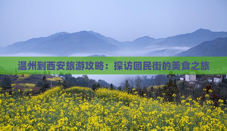 温州到西安旅游攻略：探访回民街的美食之旅
