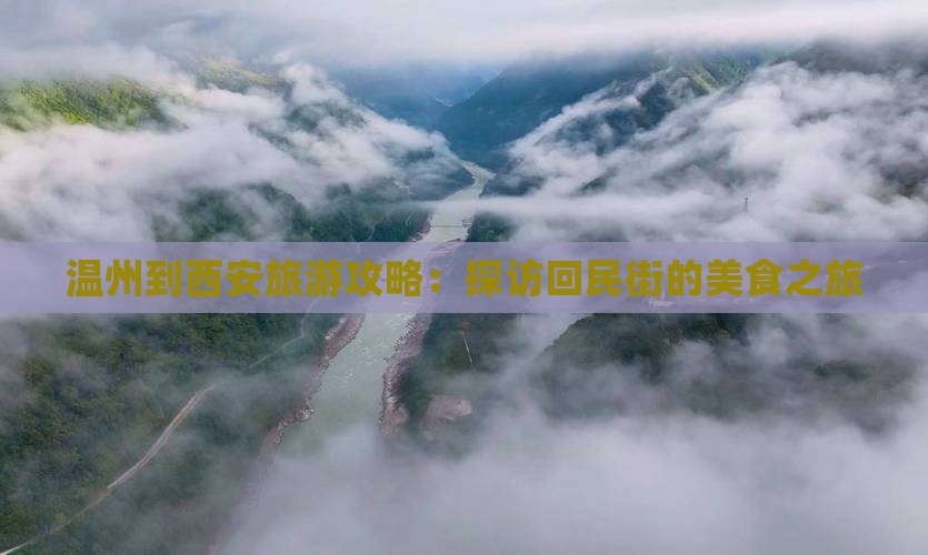 温州到西安旅游攻略：探访回民街的美食之旅