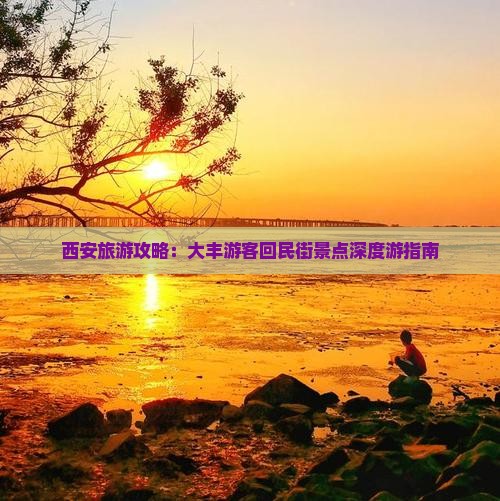 西安旅游攻略：大丰游客回民街景点深度游指南