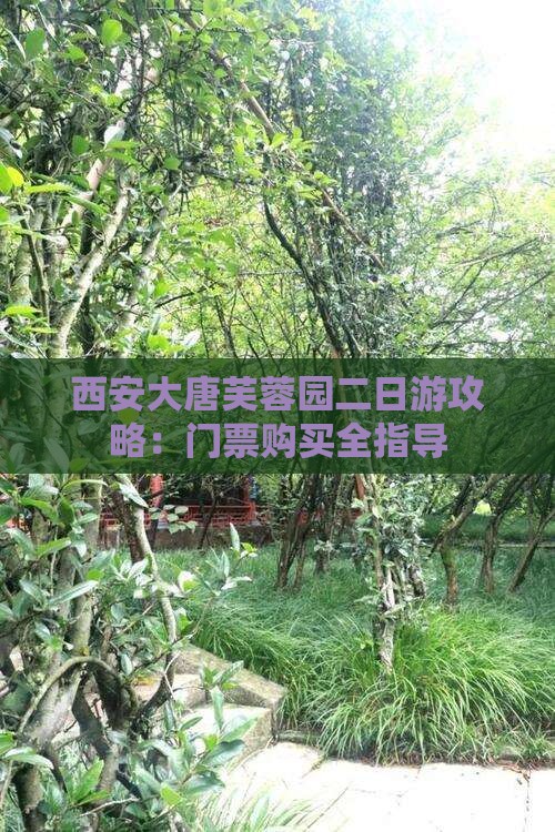西安大唐芙蓉园二日游攻略：门票购买全指导