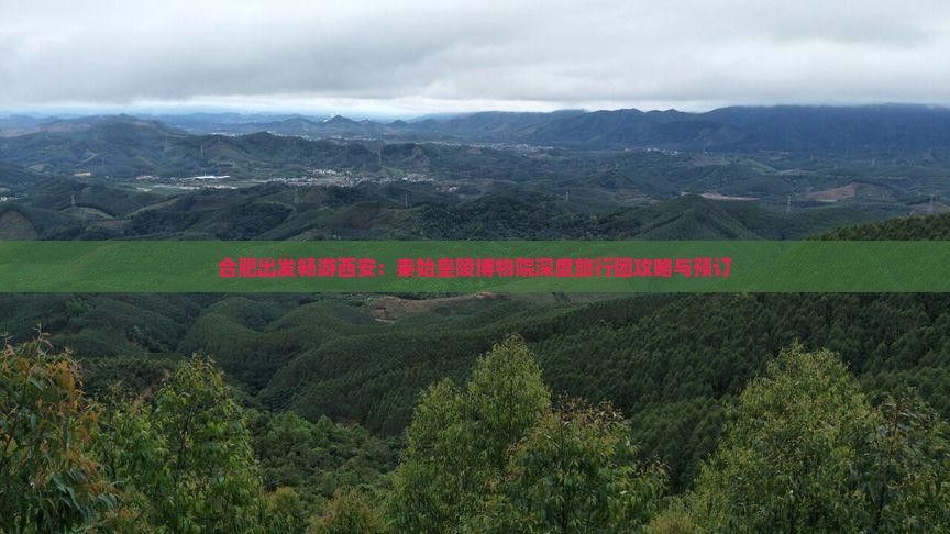 合肥出发畅游西安：秦始皇陵博物院深度旅行团攻略与预订