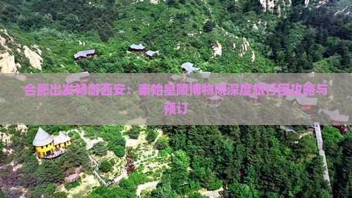 合肥出发畅游西安：秦始皇陵博物院深度旅行团攻略与预订