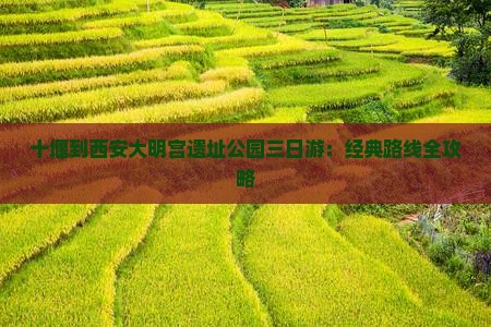 十堰到西安大明宫遗址公园三日游：经典路线全攻略