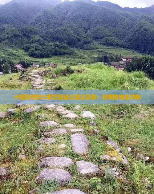 十堰到西安大明宫遗址公园三日游：经典路线全攻略